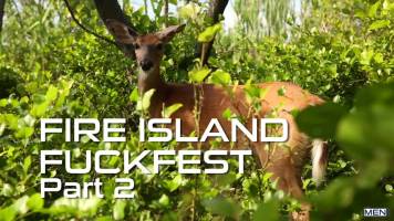 Fire Island Fuckfest Partie 2 – Roman Todd & Tobias